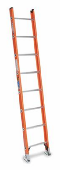 Picture of Ladder 24 Ft Ext.